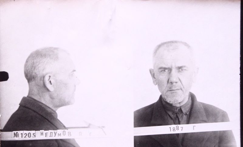 Файл:Недумов Дмитрий Сергеевич (1887).JPG