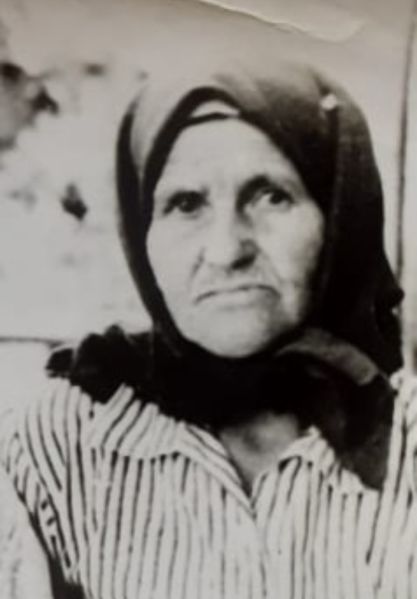 Файл:Screenshot 20231001 184358 Gallery.jpg