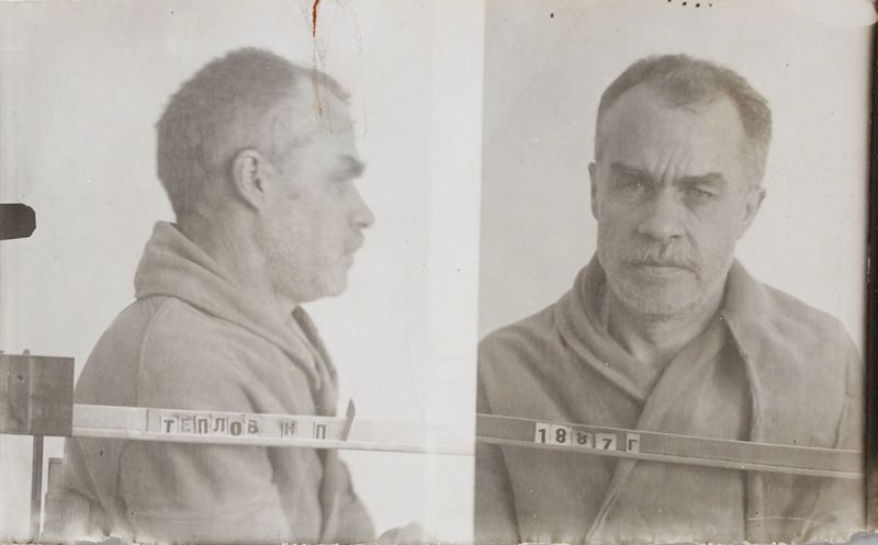 Файл:Теплов Николай Павлович (1887).JPG