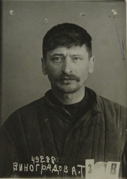 Файл:Виноградов Александр Трофимович (1893).jpg