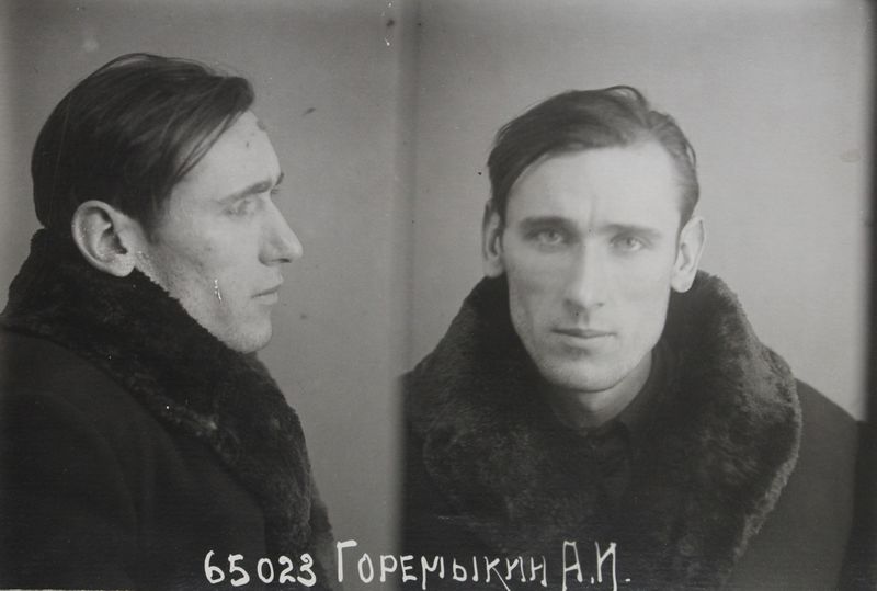 Файл:Горемыкин Александр Ильич (1910).jpg