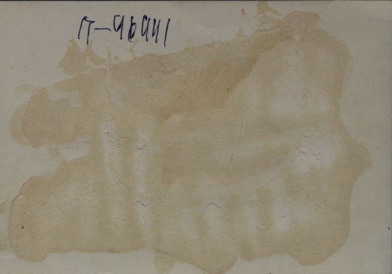 Файл:Чекалин ИП (1871)-оборот.JPG