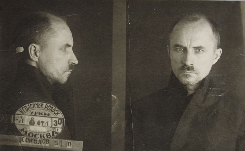 Файл:Соколов-Днепровский Владимир Петрович (1895).JPG