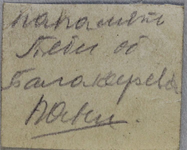 Файл:Фото-12 оборот.jpg