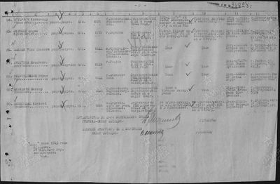 Шовкопляс (2).jpg