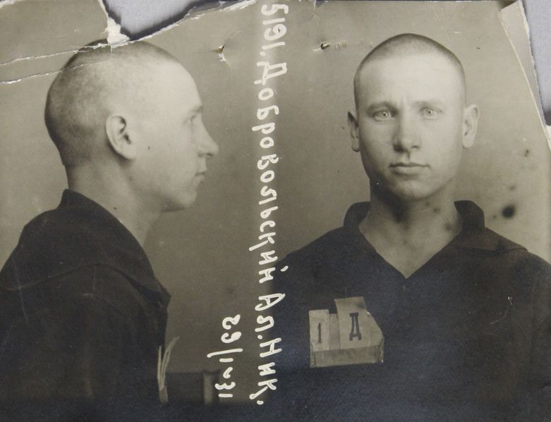 Файл:Добровольский Александр Николаевич (1911).JPG