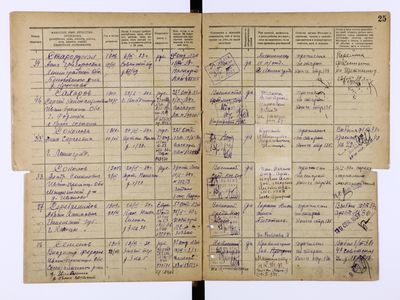 ЦГАСПб Р-7965 119 3255 0016.JPEG