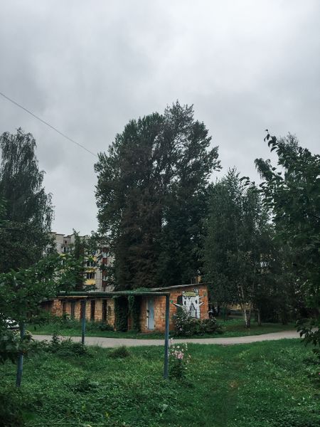 Файл:Babuskin dom Vitebsk.jpg