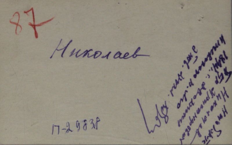 Файл:Николаев ПХ (1894)-оборот.JPG