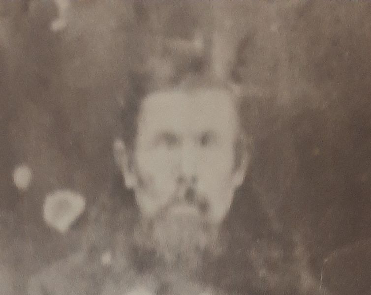 Файл:Пивоваров д и.jpg