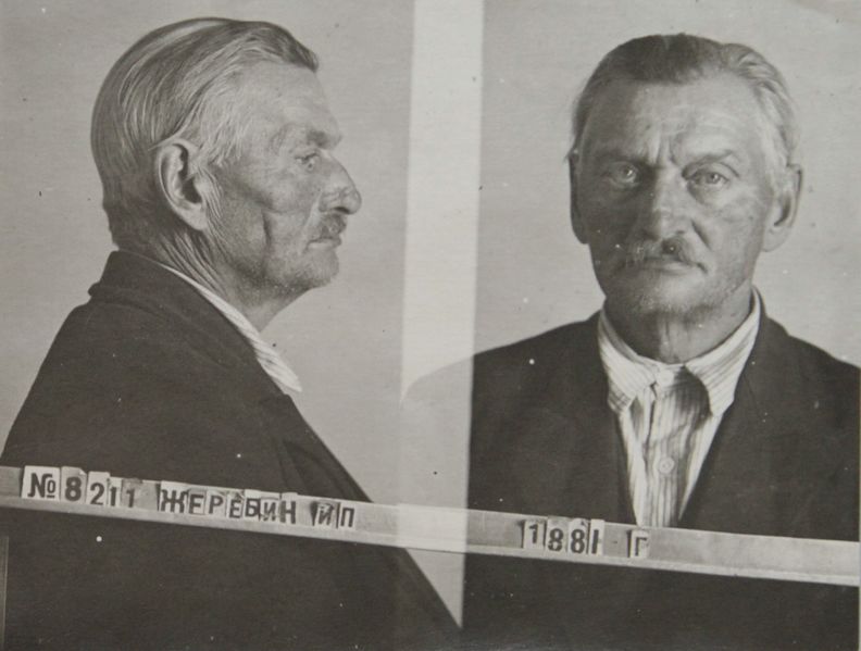 Файл:Жеребин Илья Петрович (1881).JPG