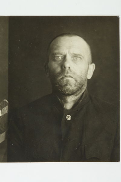 Файл:BIRK A.V PLUS.JPG