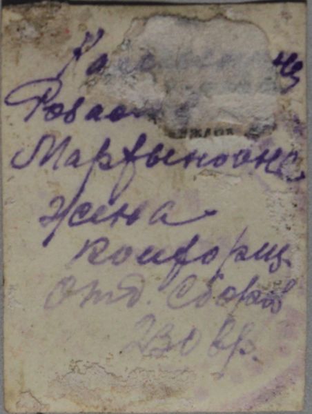 Файл:Панов КА (1882)-2 оборот.JPG