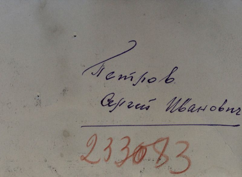 Файл:Петров СИ(1895).jpg