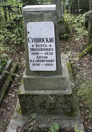 Супинские могила.jpg