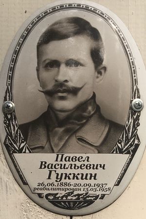 Photo 5312300888301364176 y.jpg