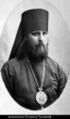 Священномученик архиепископ Иларион (Троицкий)-10.jpg