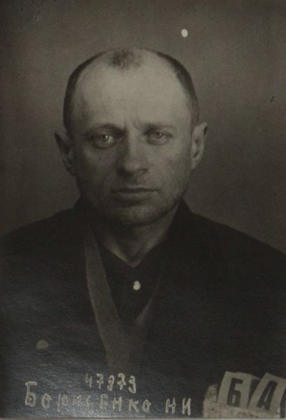 Файл:Борисенко Николай Иванович (1890).JPG