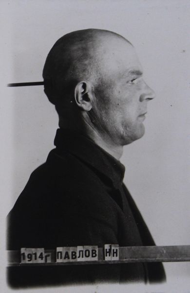 Файл:Павлов Николай Наумович (1914).JPG