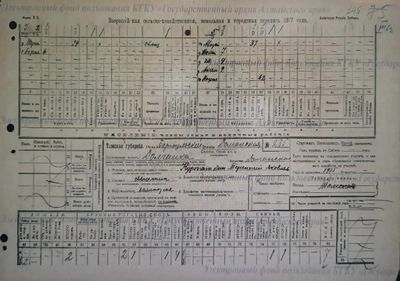 Терентий Долганка Перепись 1917г.jpg