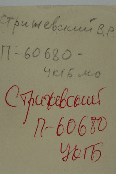 Файл:STRYZHEVSKII V.R TX.JPG