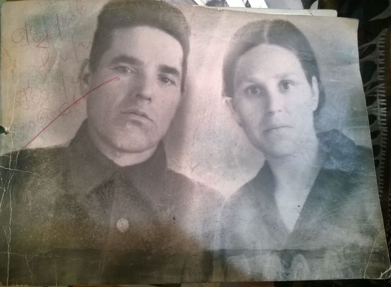 Файл:WP 20160109 006.jpg