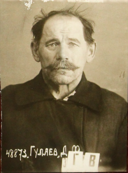 Файл:Гуляев Дмитрий Федорович (1877).png