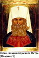 Священномученик митрополит Петр (Полянский)-4.jpg