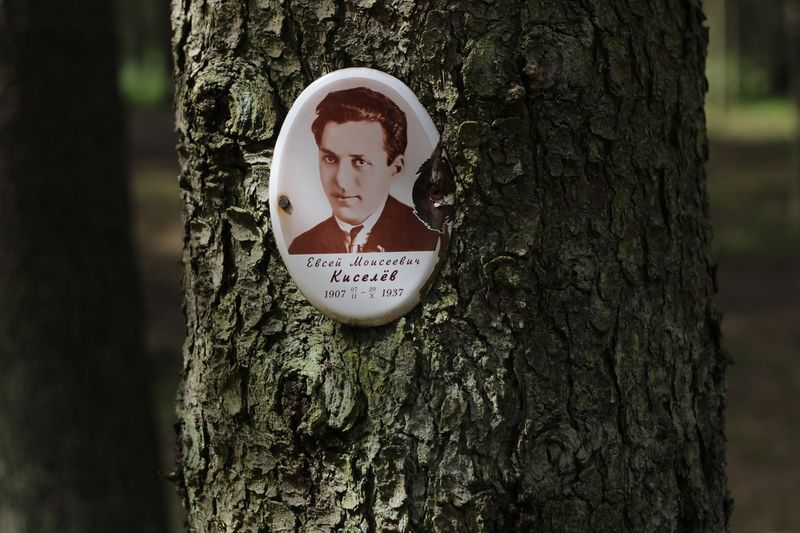 Файл:Киселев Евсей Моисеевич (1907).jpg