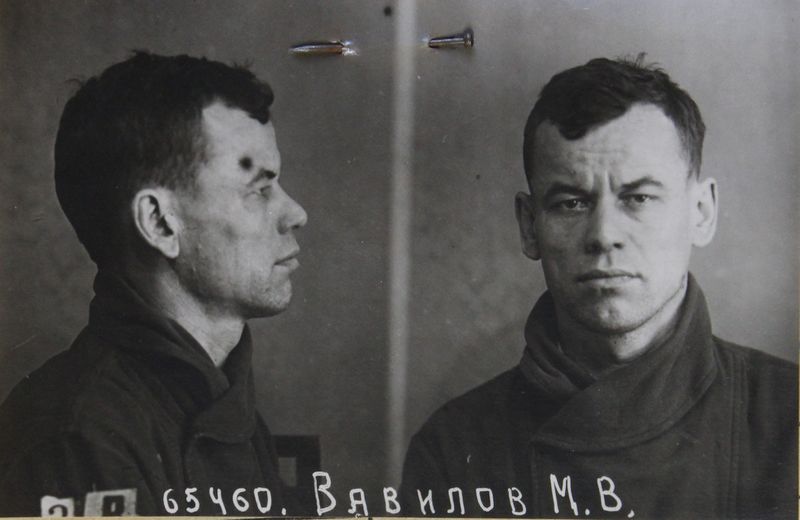 Файл:Вавилов Михаил Васильевич (1904).JPG