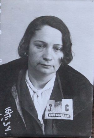 Машина елена николаевна