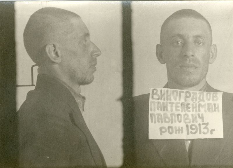 Файл:Виноградов Пантелеймон Павлович (1913).jpg