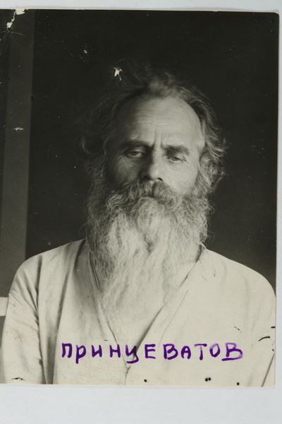 Файл:PRINCEVATOV A.V PLUS 01.JPG