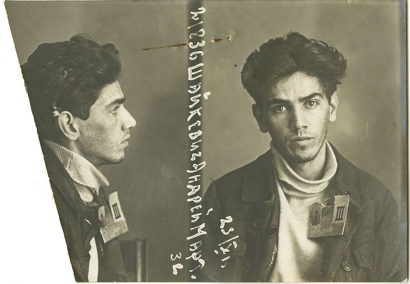 Файл:Шайкевич Андрей Мартынович (1908).jpg