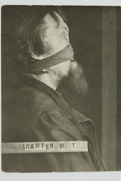 Файл:LAPTEV V.T PLUS PF.JPG