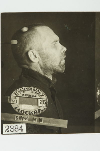 Файл:Бирк Арвид Вильгельмович (1893) - профиль.jpg