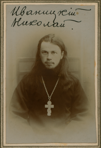 Файл:Иваницкий НП.PNG