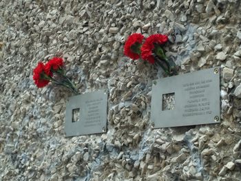 Таблички Последний адрес..jpg