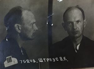 Штраус В.К..jpg