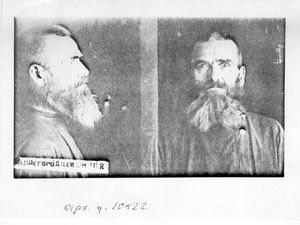 Вышегородцев Максим Тимофеевич-1.jpg