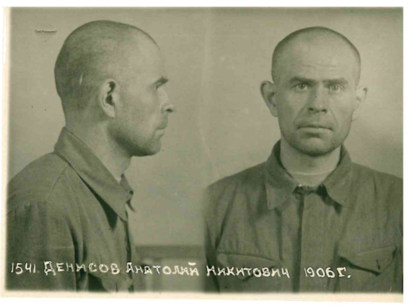 Файл:Денисов Анатолий Никитович (1906).png