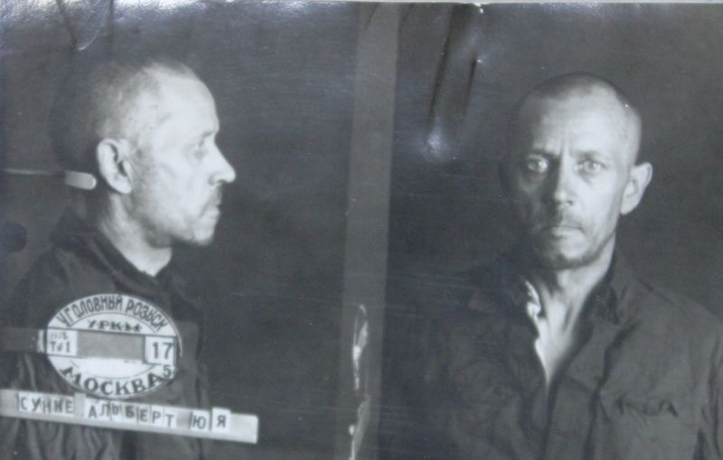 Файл:Суннэ Альберт-Юлиус Янович (1892).JPG