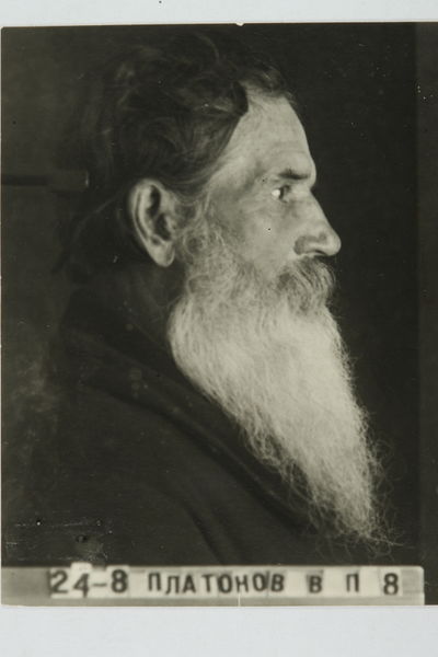 Файл:PLATONOV V.P PF PLUS.JPG