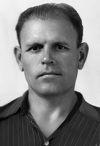 Файл:Лебединцев.jpg