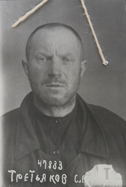 Файл:Третьяков Сергей Кузьмич (1893).JPG